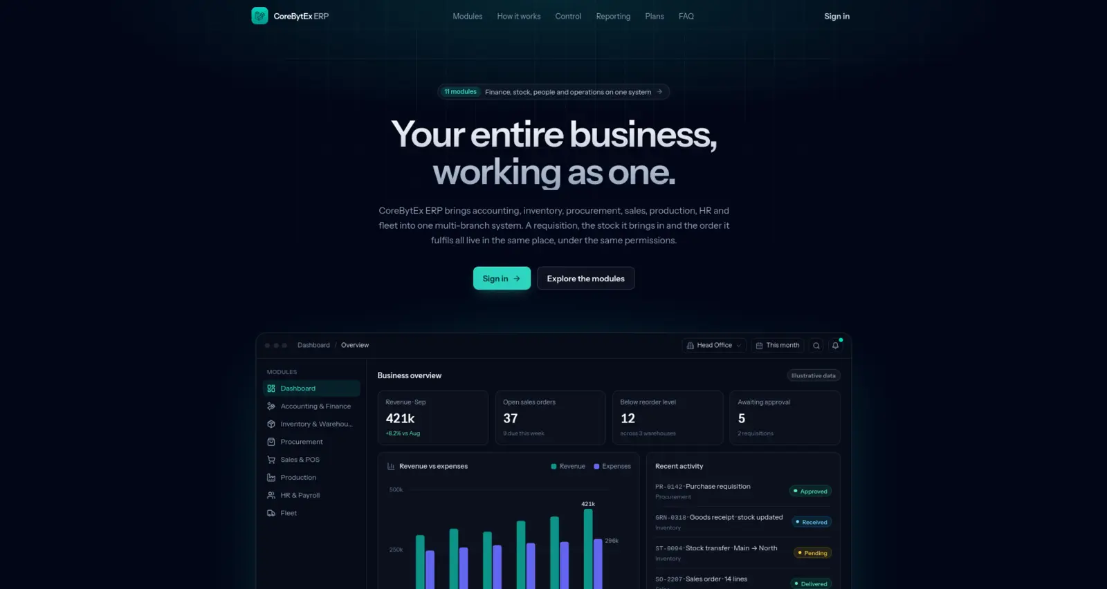AlyERP landing page with the business overview dashboard